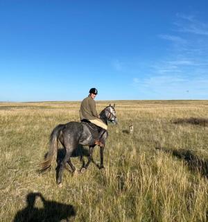 a man riding a horse in a field