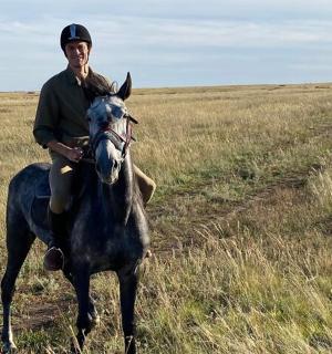 a person riding a horse in a field