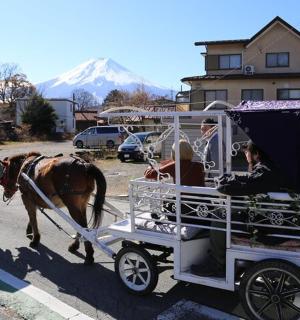 a horse pulling a carriage with people in it