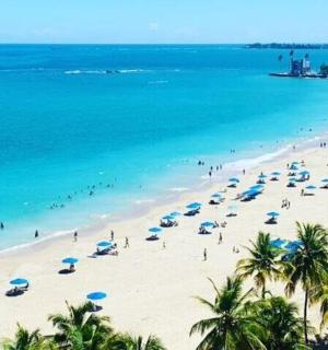 una playa con palmeras y gente con sombrillas
