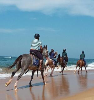 一群人在海滩上骑马