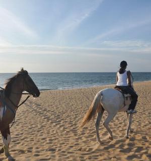 a group of people riding horses on the beach