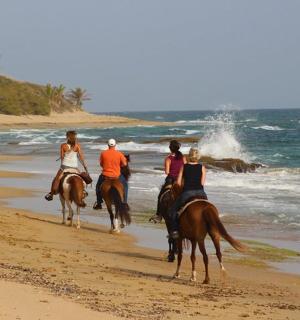 一群人在海滩上骑马