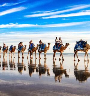 一群人在海滩上骑着骆驼