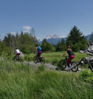 three people riding bikes on a dirt trail