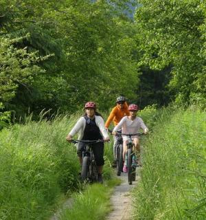 eine Gruppe von Menschen, die mit dem Fahrrad einen Weg entlangfahren
