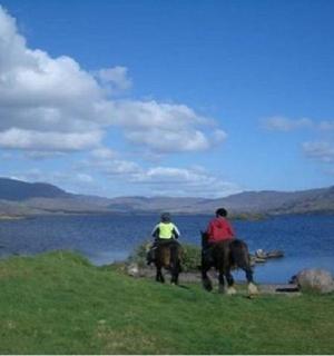 两个人在水边骑马