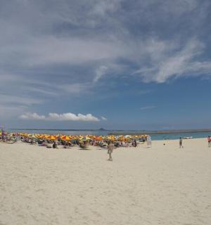 一群人在海滩上撑着遮阳伞