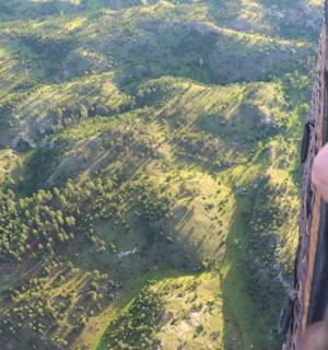 una persona volant un avió sobre un bosc