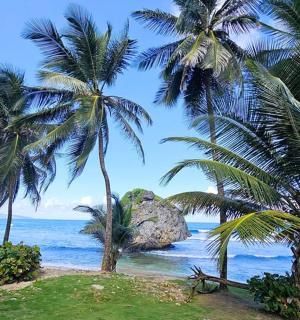 海滩上的一组棕榈树与大海