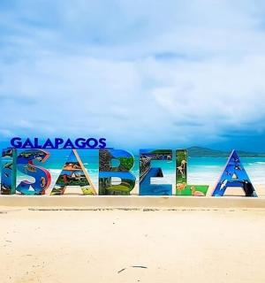 海滩上的标志牌,上面有一只企鹅