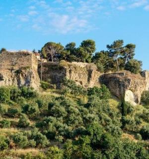 山顶上的一栋老建筑，树木繁茂