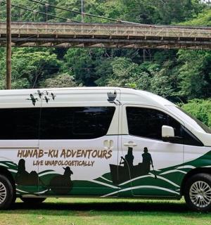 a white van parked in the grass with a painting on it