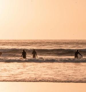 a group of people surfing in the ocean