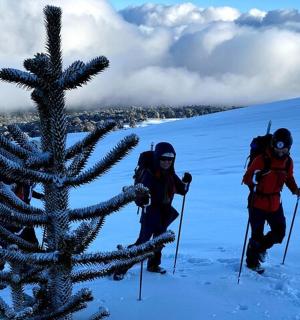两个人穿着滑雪服站在一棵白雪覆盖的树旁