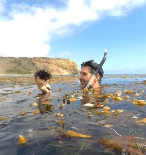 a man in the water with a dog in the water