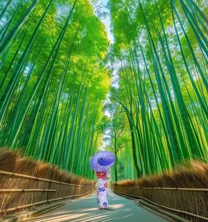 a woman walking across a bridge in a bamboo forest