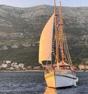 ένα ιστιοφόρο στο νερό με ένα βουνό στο φόντο