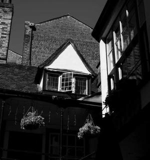 a building with windows and potted plants in front of it