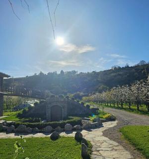 有一条石板路、树木和一栋建筑的花园