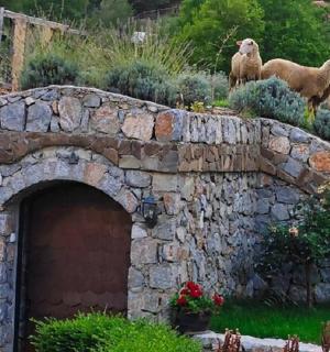 一群羊站在石桥上