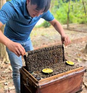a man standing next to a beehive filled with bees