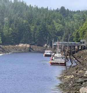 两艘船停靠在一条有树的河里