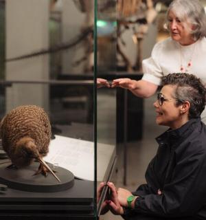 一男一女正在看桌上的一只鸟
