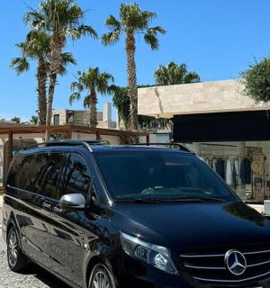 一辆黑色小型货车停在棕榈树环绕的停车场