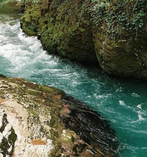 a river next to a rocky shore with green water