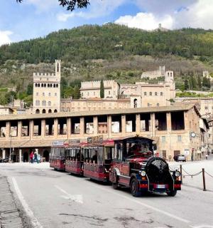 两辆巴士停在一栋大楼前