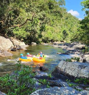 a group of people riding in rafts on a river