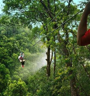 a person on a zip line in the forest