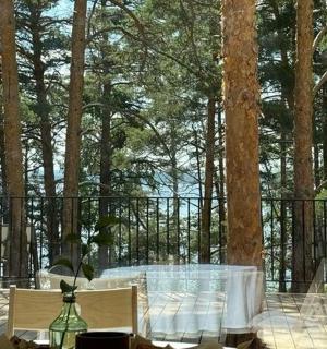 a dining table with a view of a forest