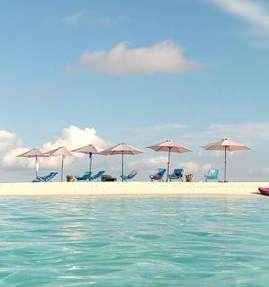 a group of umbrellas and chairs on a beach