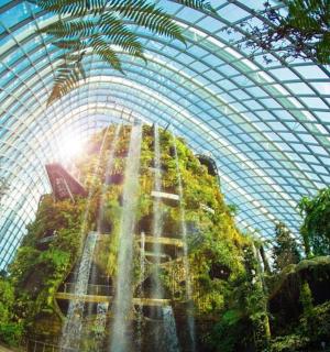 一座有树木和植物的大型玻璃圆顶建筑