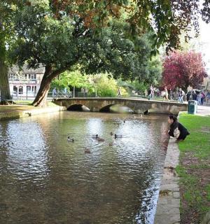 a person feeding ducks in a pond in a park
