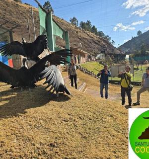 pár ptáků letících nad skupinou lidí