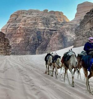一名男子骑着一群马在沙漠中