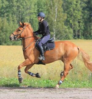 a woman riding a horse in a field
