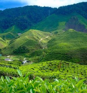 auliculiculiculiculiculiculiculiculiculiculiculiculiculiculic