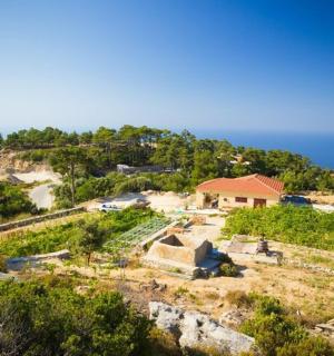 an aerial view of a house on a hill