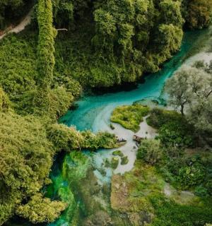 an aerial view of a river in a forest