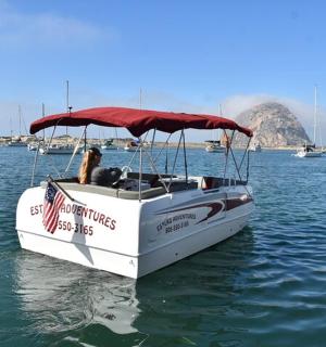 水中有一条船,上面有一只狗