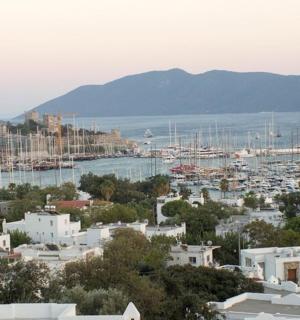 a view of a city with a harbor and boats