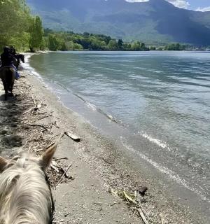 una persona a cavallo su una spiaggia vicino all'acqua