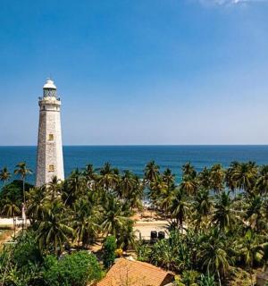 a lighthouse on the beach with palm trees and the ocean