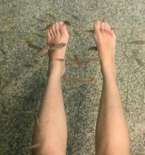 一个人的腿站在地上，身边有鱼