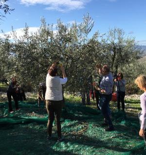 一群人站在苹果园里