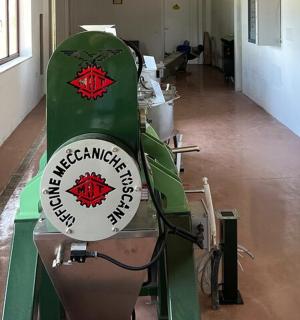 房间里展示的一块绿色滑雪板